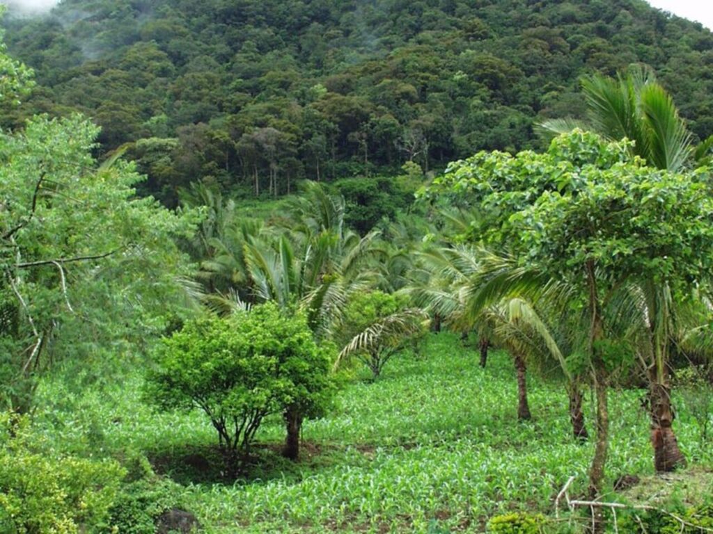 WhatsApp Image 2025-10-29 at 1.53.15 AM