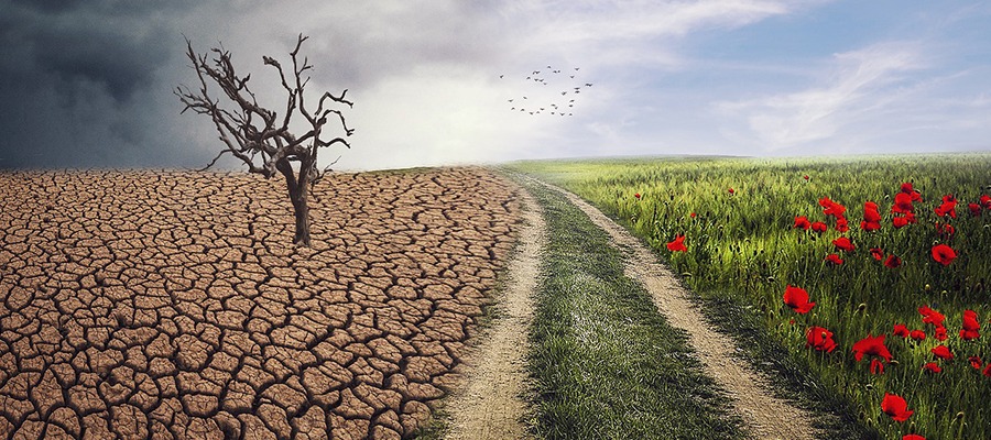 WhatsApp Image 2025-10-29 at 2.14.34 AM